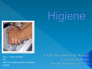 Higiene Escola Secundária de Bocage Ciências Naturais António Damião nº6  9ºG Fig.1 – Lavar as mãos IN: http://www.dmcarvalho.com/produtos.php 