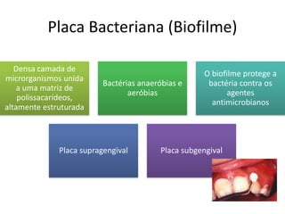 Placa Bacteriana (Biofilme)
Densa camada de
microrganismos unida
a uma matriz de
polissacarídeos,
altamente estruturada
Bactérias anaeróbias e
aeróbias
O biofilme protege a
bactéria contra os
agentes
antimicrobianos
Placa supragengival Placa subgengival
 