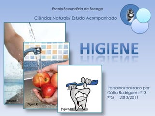 Escola Secundária de Bocage Ciências Naturais/ Estudo Acompanhado Higiene Trabalho realizado por:  Cátia Rodrigues nº13  9ºG     2010/2011 (Figura 1) (Figura 2) (Figura 3) 
