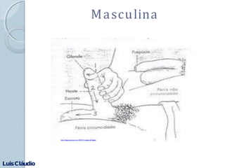 Masculina
LuisCláudio
http://blog.perguntame.com/2010/01/cuidados-de-higiene
 