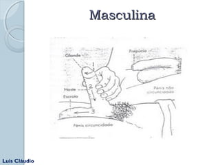 MMaassccuulliinnaa 
Luis Cláudio 
http://blog.perguntame.com/2010/01/cuidados-de-higiene 
 