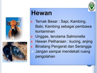 Hewan
Ternak Besar : Sapi, Kambing,
Babi, Kambing sebagai pembawa
kontaminan
Unggas, terutama Salmonella
Hewan Peliharaan : kucing, anjing
Binatang Pengerat dan Serangga
 Jangan sampai mendekati ruang
pengolahan
 