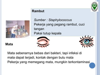 Rambut
- Sumber : Staphylococcus
- Pekerja yang pegang rambut, cuci
tangan
- Pakai tutup kepala
Mata
- Mata sebenarnya bebas dari bakteri, tapi infeksi di
mata dapat terjadi, kontak dengan bulu mata
- Pekerja yang memegang mata, mungkin terkontaminasi
 