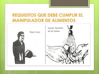 REQUISITOS QUE DEBE CUMPLIR EL MANIPULADOR DE ALIMENTOS 