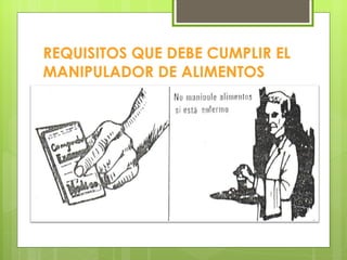 REQUISITOS QUE DEBE CUMPLIR EL MANIPULADOR DE ALIMENTOS 