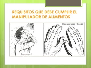 REQUISITOS QUE DEBE CUMPLIR EL MANIPULADOR DE ALIMENTOS 