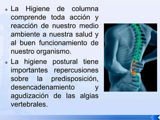Higiene de columna | PPTX