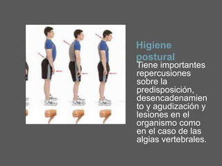 Higiene de columna | PPTX