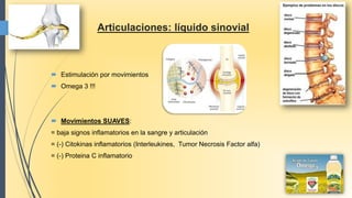 Articulaciones: líquido sinovial
 Estimulación por movimientos
 Omega 3 !!!
 Movimientos SUAVES:
= baja signos inflamatorios en la sangre y articulación
= (-) Citokinas inflamatorios (Interleukines, Tumor Necrosis Factor alfa)
= (-) Proteina C inflamatorio
 