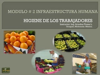 HIGIENE DE LOS TRABAJADORES

Instructor: Ing. Ariadna Flores L.

Uruapan, Michoacán. México.

 