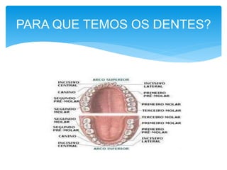 PARA QUE TEMOS OS DENTES? 
 