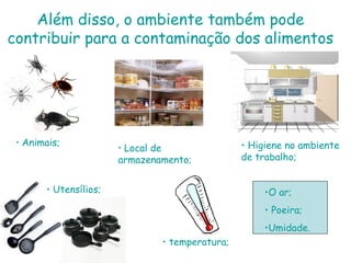 Além disso, o ambiente também pode
contribuir para a contaminação dos alimentos
• temperatura;
• Utensílios;
• Higiene no ambiente
de trabalho;
•O ar;
• Poeira;
•Umidade.
• Animais;
• Local de
armazenamento;
 