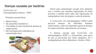 Doenças causadas por bactérias
Escherichia coli
Enteropatogênica Clássica – EPEC
Principais características:
• Bacilos Gram -
• São anaeróbios facultativos
• Tem habitat no trato intestinal de animais de
sangue quente
• São microrganismos indicadores de
contaminação fecal.
Ocorre pela contaminação cruzada entre alimentos
crus e cozidos, por utensílios higienizados de forma
incorreta e também pelas mãos não higienizadas de
manipuladores entre um preparo e outro do alimento.
A Escherichia coli enteropatogênica (EPEC) pode
provocar doenças em indivíduos humanos
coletivamente, sendo um importante agente de doenças
de origem alimentar, especialmente em crianças.
A diarreia causada pela Escherichia coli
enteropatogênica (EPEC) é, clinicamente, mais grave
do que as provocadas por outros patógenos, ela é
acompanhada por dores abdominais, vômitos e febre.
 