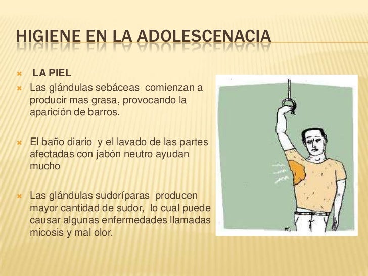 como arreglar un regulador de gas cuidados de la violeta africana