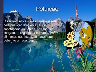 Poluição  O ser humano é o maior responsável pela poluição ambiental. E as substancias poluentes, por sua vez, chegam ao organismo humano nos alimentos que ingere, na agua que bebe, no ar  que respira.  