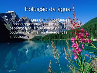 Poluição da água  A poluição da agua é muito perigosa para o nosso organismo porque nós se bebermos água que esteja poluída podemos apanhar muitas doenças infecciosas . 