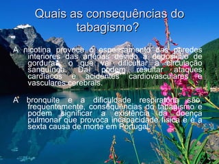 Quais as consequências do tabagismo?  A nicotina provoca o espessamento das paredes interiores das artérias devido à deposição de gorduras, o que vai dificultar a circulação sanguínea. Daí podem resultar ataques cardíacos e acidentes cardiovasculares e vasculares cerebrais.  A bronquite e a dificuldade respiratória são, frequentemente, consequências do tabagismo e podem significar a existência da doença pulmonar que provoca incapacidade física e é a sexta causa de morte em Portugal.  