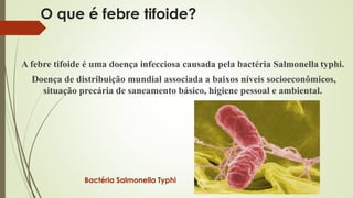 O que é febre tifoide? 
A febre tifoide é uma doença infecciosa causada pela bactéria Salmonella typhi. 
Doença de distribuição mundial associada a baixos níveis socioeconômicos, 
situação precária de saneamento básico, higiene pessoal e ambiental. 
Bactéria Salmonella Typhi 
 