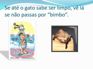 Se até o gato sabe ser limpo, vê lá se não passas por “bimbo”.