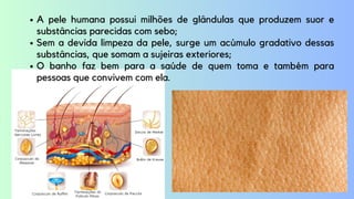 A pele humana possui milhões de glândulas que produzem suor e
substâncias parecidas com sebo;
Sem a devida limpeza da pele, surge um acúmulo gradativo dessas
substâncias, que somam a sujeiras exteriores;
O banho faz bem para a saúde de quem toma e também para
pessoas que convivem com ela.
 