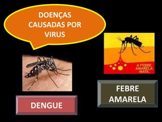 DOENÇAS
CAUSADAS POR
   VIRUS




                FEBRE
               AMARELA
DENGUE
 