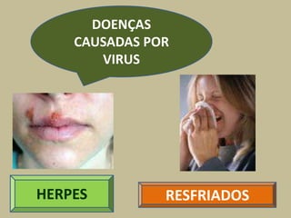 DOENÇAS
    CAUSADAS POR
       VIRUS




HERPES         RESFRIADOS
 