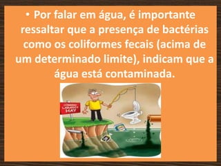 • Por falar em água, é importante
 ressaltar que a presença de bactérias
  como os coliformes fecais (acima de
um determinado limite), indicam que a
        água está contaminada.
 