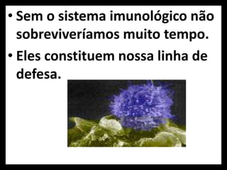 • Sem o sistema imunológico não
  sobreviveríamos muito tempo.
• Eles constituem nossa linha de
  defesa.
 