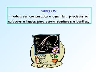 CABELOS
• Podem ser comparados a uma flor, precisam ser
cuidados e limpos para serem saudáveis e bonitos.
 