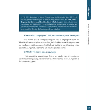 MAPA
DE
RISCOS
AMBIENTAIS
125
CAPÍTULO
6
A NR 22 - Segurança e Saúde Ocupacional na Mineração (item 22.19.10)
trouxe grande contribuição ao tornar obrigatório o uso da NBR 6493 -
Emprego das Cores para Identificação de Tubulações para o reconhecimento
das tubulações industriais. Ficou estabelecido também que as tubulações
devem ser identificadas a cada 100 (cem) metros, informando a natureza do
seu conteúdo, direção do fluxo e pressão de trabalho.
a) ABNT 6493 (Emprego de Cores para Identificação de Tubulações)
Essa norma fixa as condições exigíveis para o emprego de cores na
identificaçãodetubulaçõesparacanalizaçãodefluidosemateriaisfragmentados
ou condutores elétricos, com a finalidade de facilitar a identificação e evitar
acidentes. A Figura 6.4 apresenta um resumo geral da norma.
b) ABNT 7195 (Cores para a segurança)
Essa norma fixa as cores que devem ser usadas para prevenção de
acidentes empregadas para identificar e advertir contra riscos. A Figura 6.5
faz um resumo geral.
 