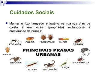Cuidados Sociais
 Manter o lixo tampado e jogá-lo na rua nos dias de
coleta e em locais apropriados evitando-se a
proliferação de pragas:
 