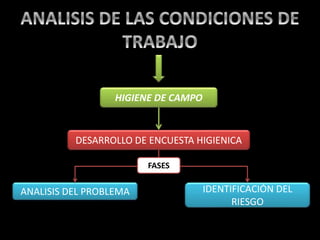 HIGIENE DE CAMPO
DESARROLLO DE ENCUESTA HIGIENICA
ANALISIS DEL PROBLEMA IDENTIFICACIÓN DEL
RIESGO
FASES
 