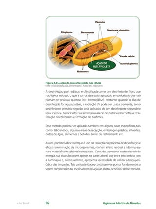 Higiene na Indústria de Alimentos
e-Tec Brasil 56
Figura 2.2: A ação do raio ultravioleta nas células
Fonte: <www.akarilampadas.com.br/imagens>.Acesso em: 23 jun. 2010.
A desinfecção por radiação é classiﬁcada como um desinfetante físico que
não deixa residual, o que a torna ideal para aplicação em processos que não
possam ter residual químico (ex.: hemodiálise). Portanto, quando o alvo de
desinfecção for água potável, a radiação UV pode ser usada, somente, como
desinfetante primário seguido pela aplicação de um desinfetante secundário
(gás, cloro ou hipoclorito) que protegerá a rede de distribuição contra a proli-
feração de coliformes e formação de bioﬁlmes.
Esse método poderá ser aplicado também em alguns casos especíﬁcos, tais
como: laboratórios, algumas áreas de recepção, embalagem plástica, eﬂuentes,
dutos de água, alimentos e bebidas, torres de resfriamento etc.
Assim, podemos descrever que o uso da radiação no processo de desinfecção é
eﬁcaz na eliminação de microrganismos, não tem efeito residual e não impreg-
na o material com sabores indesejáveis. Contudo, apresenta custo elevado de
energia, sua atuação ocorre apenas na parte (aérea) que entra em contato com
a iluminação e, eventualmente, apresenta necessidade de realizar a troca peri-
ódica das lâmpadas. Tais particularidades constituem-se pontos fundamentais a
serem considerados na escolha (com relação ao custo-benefício) desse método.
Hig_Ind_Alim.indb 56
Hig_Ind_Alim.indb 56 19/01/11 15:30
19/01/11 15:30
 