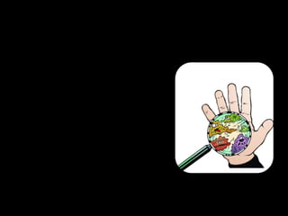 Cuidados a ter:
A profissional:
- Usar    sempre      os
  Epi’s;
- Lavar as mãos antes
  e depois de cada
  trabalho realizado;
- Ter aspeto cuidado e
  asseado.
 