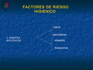 FACTORES DE RIESGO
HIGIENICO

VIRUS

2. AGENTES
BIOLÓGICOS

BACTERIAS
HONGOS
PARASITOS

 