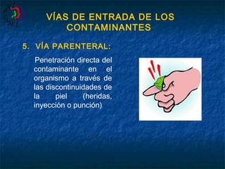 VÍAS DE ENTRADA DE LOS
CONTAMINANTES
5. VÍA PARENTERAL:
Penetración directa del
contaminante en el
organismo a través de
las discontinuidades de
la
piel
(heridas,
inyección o punción)

 