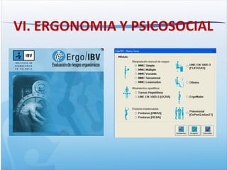VI. ERGONOMIA Y PSICOSOCIAL
 