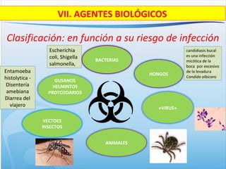 Clasificación: en función a su riesgo de infección
«VIRUS»
GUSANOS
HELMINTOS
PROTOZOARIOS
ANIMALES
HONGOS
BACTERIAS
VECTOES
INSECTOS
VII. AGENTES BIOLÓGICOS
Escherichia
coli, Shigella
salmonella,
candidiasis bucal
es una infección
micótica de la
boca por excesivo
de la levadura
Candida albicans
Entamoeba
histolytica -
Disentería
amebiana
Diarrea del
viajero
 