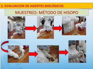 MUESTREO: MÉTODO DE HISOPO
2. EVALUACION DE AGENTES BIOLÓGICOS
 
