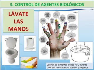 3. CONTROL DE AGENTES BIOLÓGICOS
LÁVATE
LAS
MANOS
Cocinar los alimentos a unos 75°C durante
unos dos minutos mata posibles patógenos
 