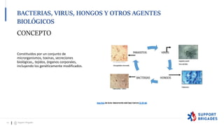 CONCEPTO
Esta foto de Autor desconocido está bajo licencia CC BY-NC
Esta foto de Autor desconocido está bajo licencia CC BY-SA
BACTERIAS, VIRUS, HONGOS Y OTROS AGENTES
BIOLÓGICOS
22 Support Brigades
Constituidos por un conjunto de
microrganismos, toxinas, secreciones
biológicas,, tejidos, órganos corporales,
incluyendo los genéticamente modificados.
 