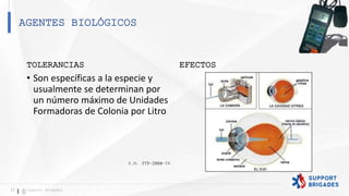 AGENTES BIOLÓGICOS
23 Support Brigades
TOLERANCIAS EFECTOS
R.M. 375-2008-TR
• Son específicas a la especie y
usualmente se determinan por
un número máximo de Unidades
Formadoras de Colonia por Litro
 