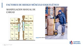 MANIPULACION MANUAL DE
CARGAS
Esta foto de Autor desconocido está bajo licencia CC BY-NC
Esta foto de Autor desconocido está bajo licencia CC BY-SA
FACTORES DE RIESGO MÚSCULO ESQUELÉTICO
27 Support Brigades
 