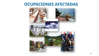 OCUPACIONES AFECTADAS
14
 