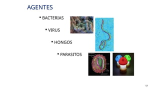 AGENTES
 BACTERIAS
 VIRUS
 HONGOS
 PARASITOS
57
 