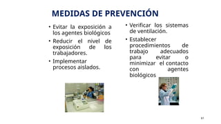 MEDIDAS DE PREVENCIÓN
• Evitar la exposición a
los agentes biológicos
• Reducir el nivel de
exposición de los
trabajadores.
• Implementar
procesos aislados.
• Verificar los sistemas
de ventilación.
• Establecer
procedimientos de
trabajo adecuados
para evitar o
minimizar el contacto
con agentes
biológicos
61
 