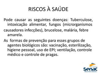 RISCOS À SAÚDE
Pode causar as seguintes doenças: Tuberculose,
intoxicação alimentar, fungos (microrganismos
causadores infecções), brucelose, malária, febre
amarela.
As formas de prevenção para esses grupos de
agentes biológicos são: vacinação, esterilização,
higiene pessoal, uso de EPI; ventilação, controle
médico e controle de pragas.
 