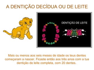 A DENTIÇÃO DECÍDUA OU DE LEITE
DENTIÇÃO DE LEITE
Mais ou menos aos seis meses de idade os teus dentes
começaram a nascer. Ficaste então aos três anos com a tua
dentição de leite completa, com 20 dentes.
 