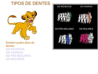 TIPOS DE DENTES
OS INCISIVOS OS CANINOS
OS PRÉ-MOLARES OS MOLARES
Existem quatro tipos de
dentes:
OS INCISIVOS.
OS CANINOS.
OS PRÉ-MOLARES.
OS MOLARES.
 
