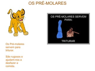 OS PRÉ-MOLARES
OS PRÉ-MOLARES SERVEM
PARA:
TRITURAR
Os Pré-molares
servem para
triturar.
São rugosos e
ajudam-nos a
desfazer a
comida.
 